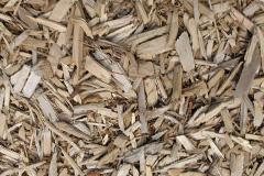 biomass boilers Shopnoller